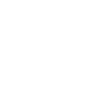 Тексты и надписи